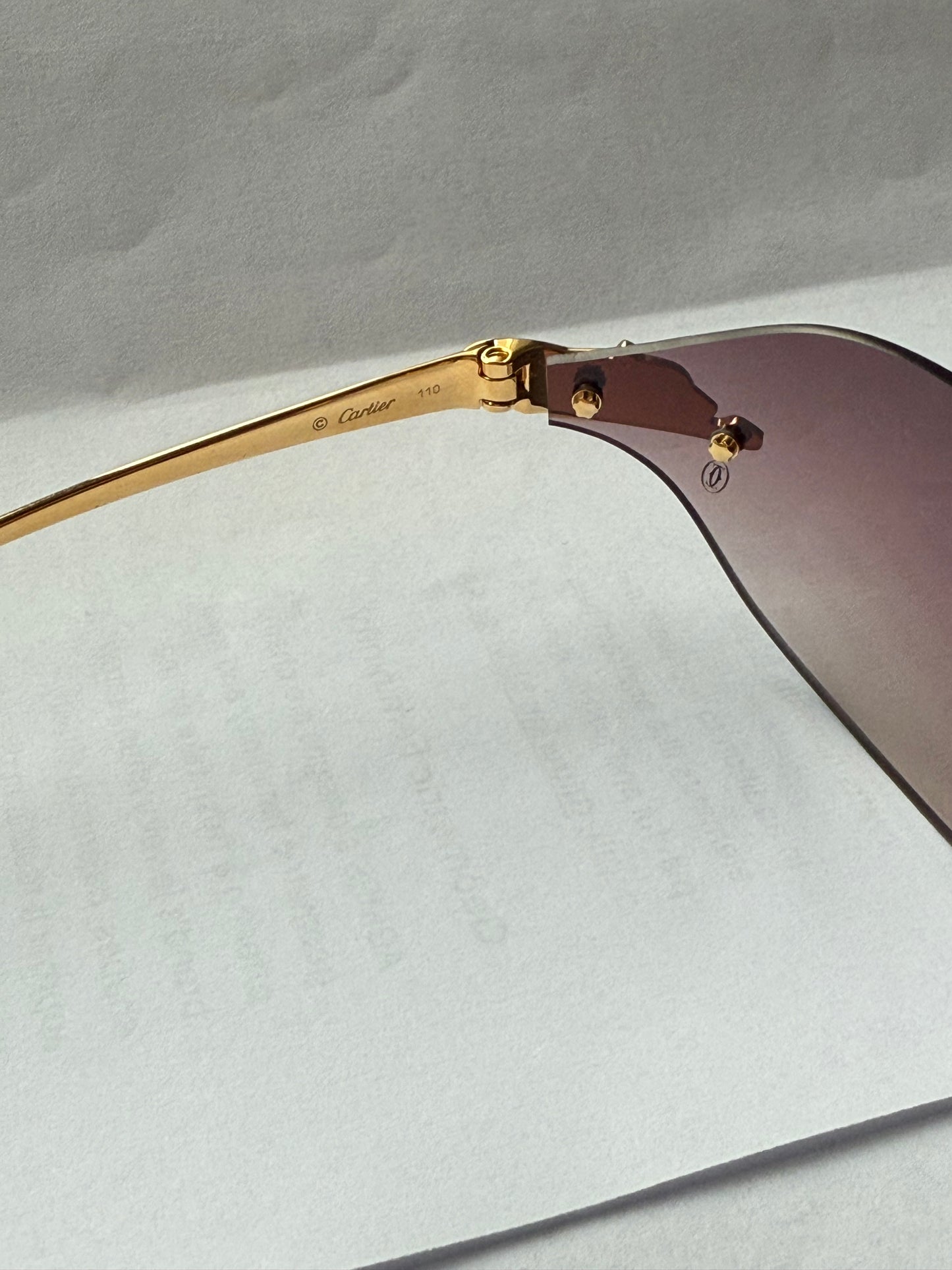 PANTHÈRE DE CARTIER SUNGLASSES