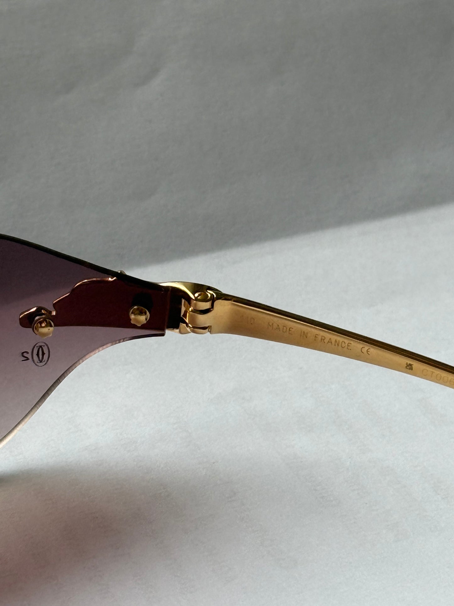 PANTHÈRE DE CARTIER SUNGLASSES